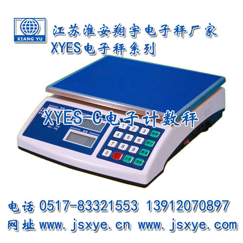 計(jì)數(shù)秤,計(jì)數(shù)秤廠家,江蘇計(jì)數(shù)秤,淮安計(jì)數(shù)秤,電子秤,電子秤廠家,XYES