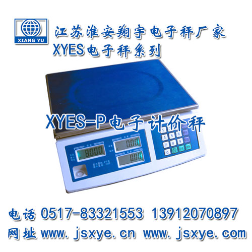 計(jì)價(jià)秤,計(jì)價(jià)秤廠家,江蘇計(jì)價(jià)秤,淮安計(jì)價(jià)秤,電子秤,電子秤廠家,XYES